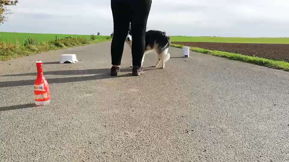 Veteranenzone - Koffer packen für fortgeschrittene-Beitrag-Bild