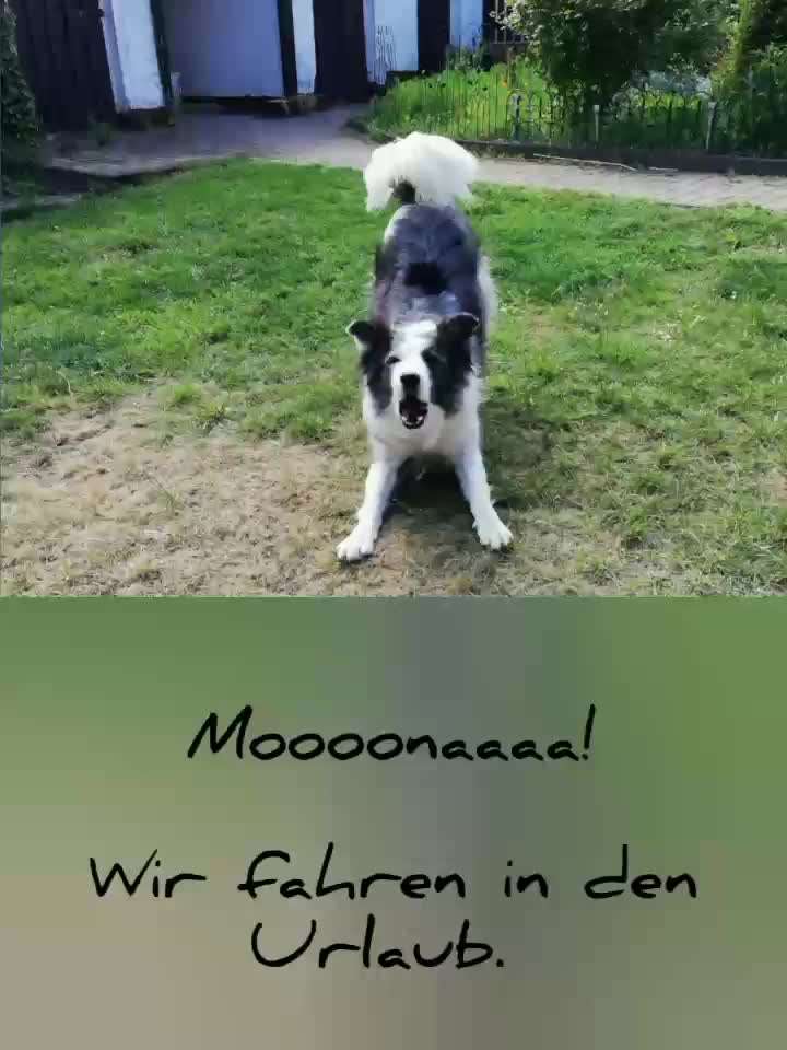 21. Kurzgeschichten Challenge - Urlaubserlebnisse-Beitrag-Bild