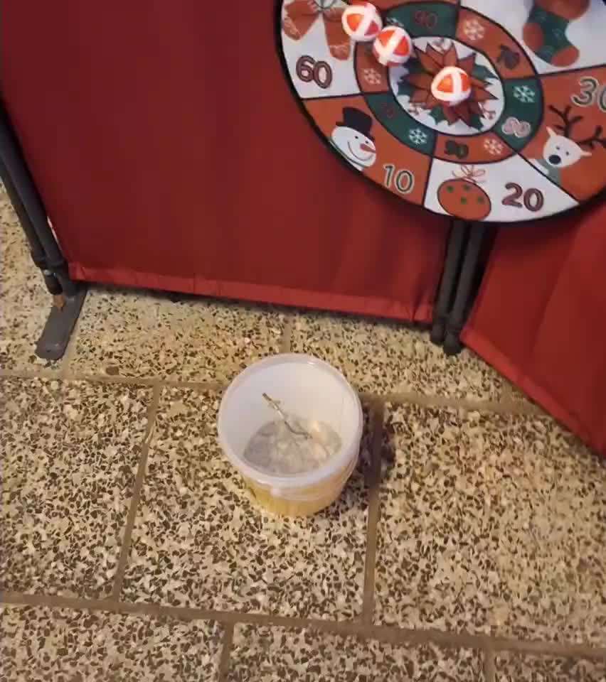 aktuelles Foto Gruppe Trickkiste