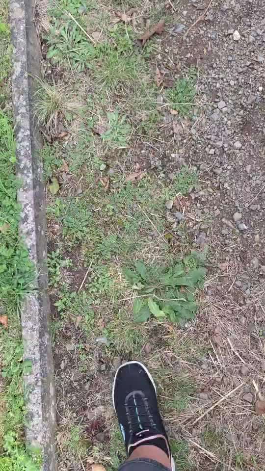 78.Trickspiel: Faceout-Beitrag-Bild