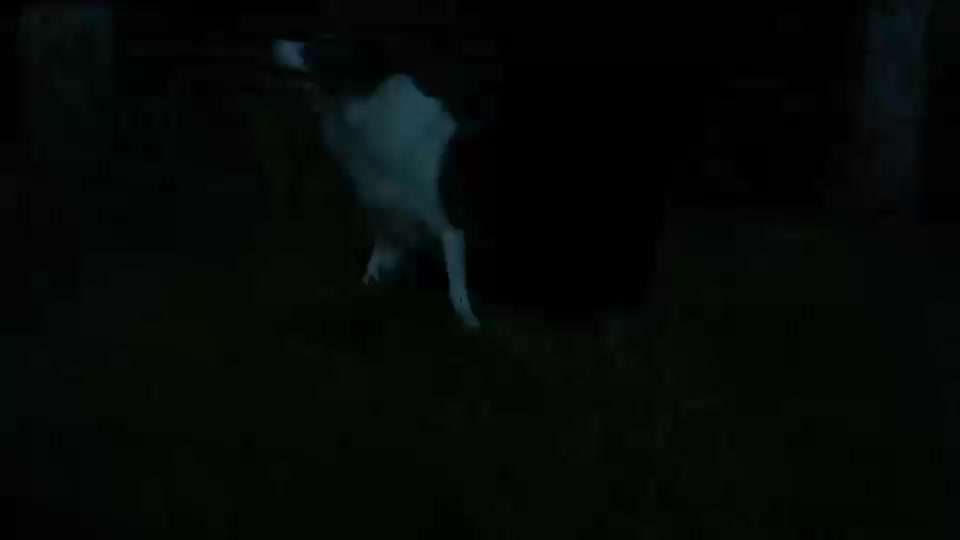 Veteranenzone - Koffer packen für fortgeschrittene-Beitrag-Bild