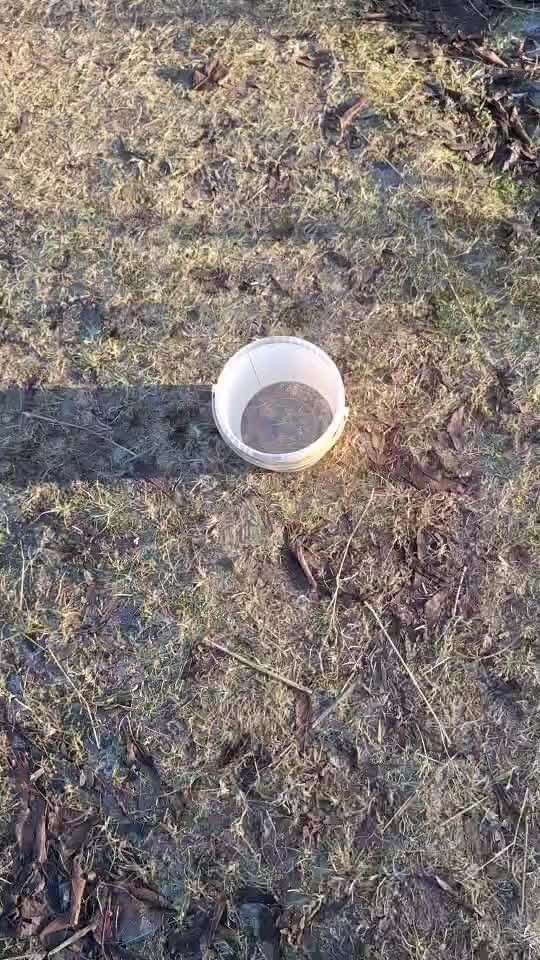 Trickchallenge Nr. 85   ,,Schau rein,,-Beitrag-Bild