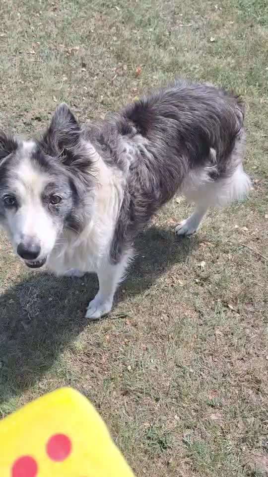 75.Trickchallenge: Bring etwas einer Person-Beitrag-Bild