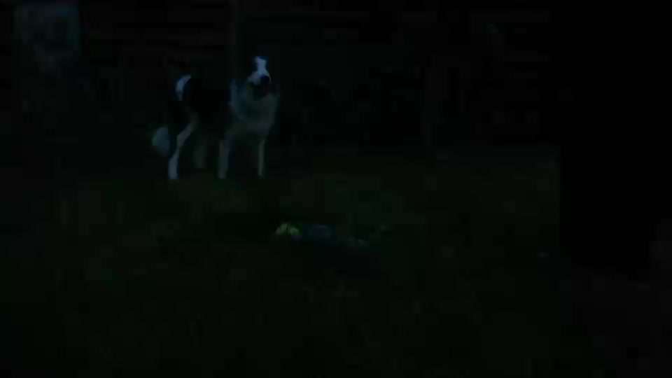 Veteranenzone - Koffer packen für fortgeschrittene-Beitrag-Bild