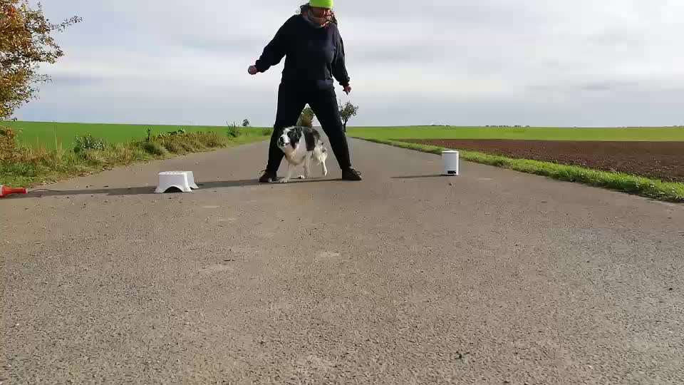 Veteranenzone - Koffer packen für fortgeschrittene-Beitrag-Bild