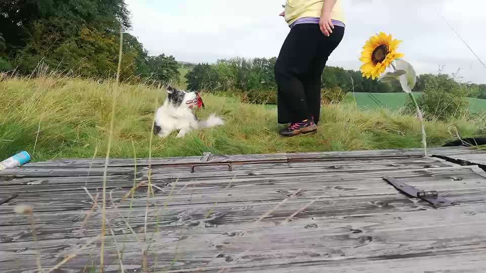 Veteranenzone - Koffer packen für fortgeschrittene-Beitrag-Bild