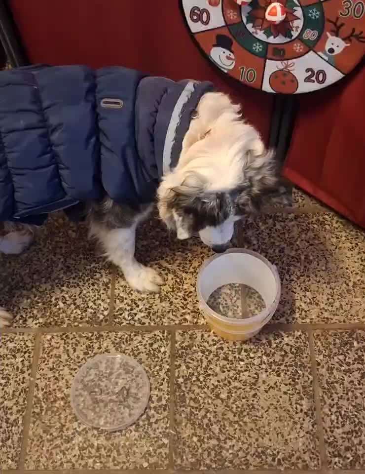 Trickchallenge Nr. 84

"Etwas öffnen "-Beitrag-Bild