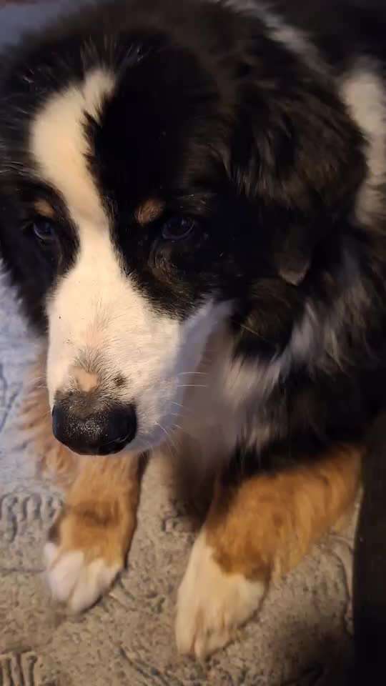 44. Impulskontrolle Callenge: ,,Essen ins Gesicht legen"-Beitrag-Bild