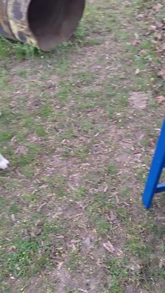 87. Trickchallenge: kinntarget-Beitrag-Bild