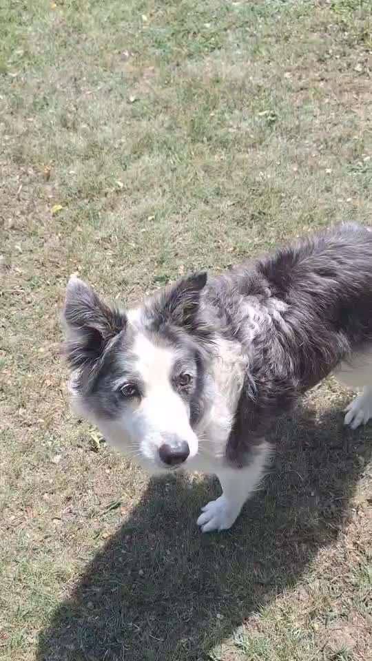 75.Trickchallenge: Bring etwas einer Person-Beitrag-Bild