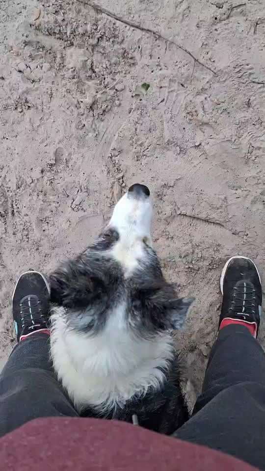 78.Trickspiel: Faceout-Beitrag-Bild