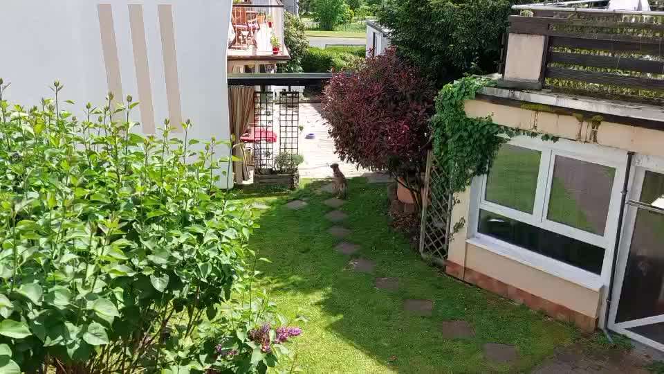 Freddys Kummerkasten-Beitrag-Bild