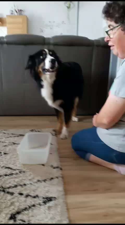 36. Trick-Challenge: Aufräumen!-Beitrag-Bild