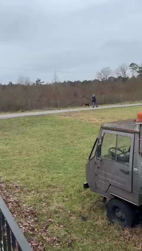 Gangbild/-analyse-Beitrag-Bild