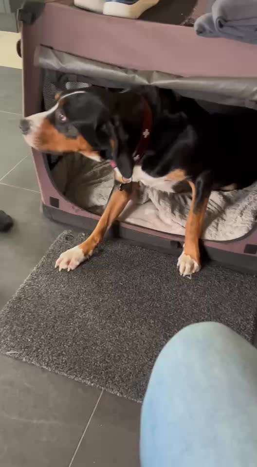 Gangbild/-analyse-Beitrag-Bild