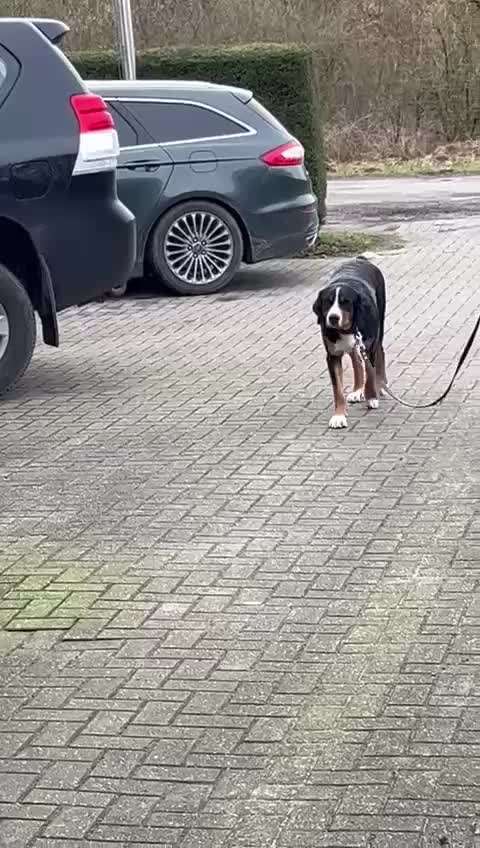 Gangbild/-analyse-Beitrag-Bild