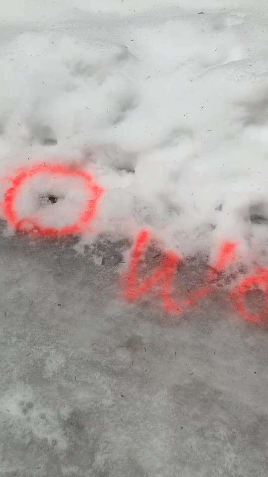 Heikles Thema: Kot überall aufsammeln oder nicht?-Beitrag-Bild