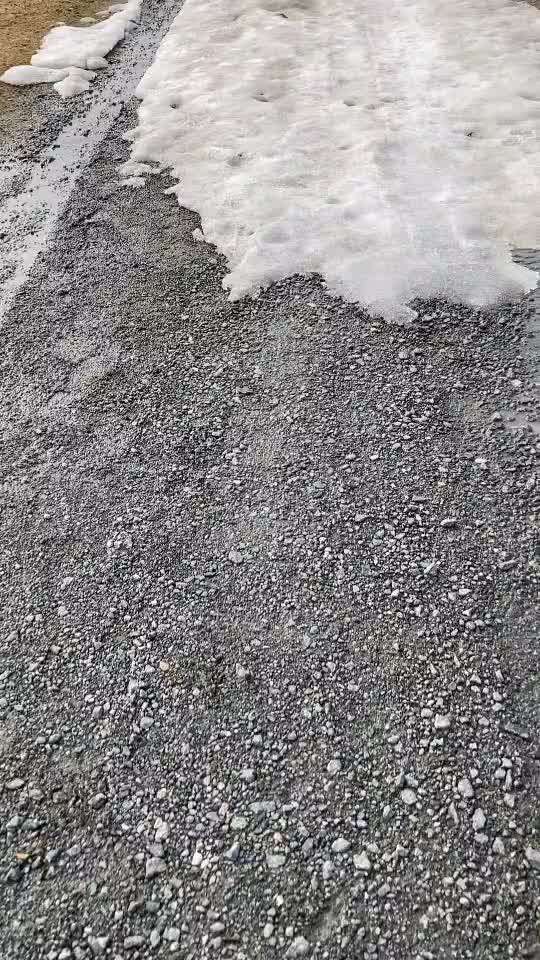 Heikles Thema: Kot überall aufsammeln oder nicht?-Beitrag-Bild