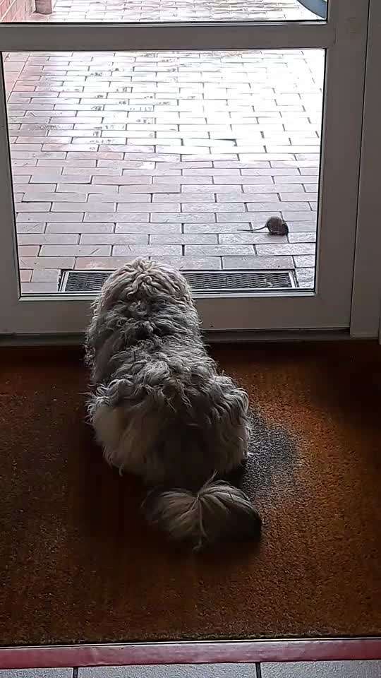 Freddys Kummerkasten-Beitrag-Bild