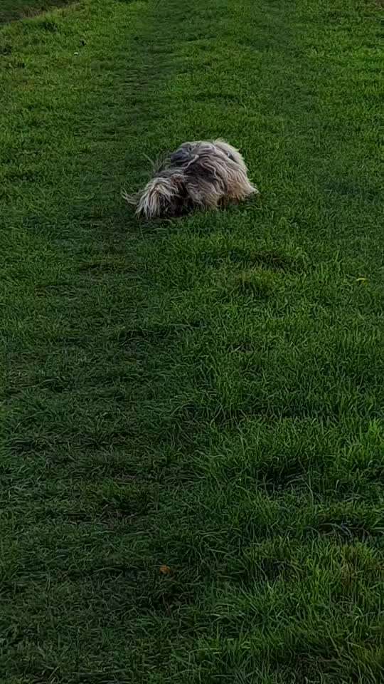 Freddys Kummerkasten-Beitrag-Bild