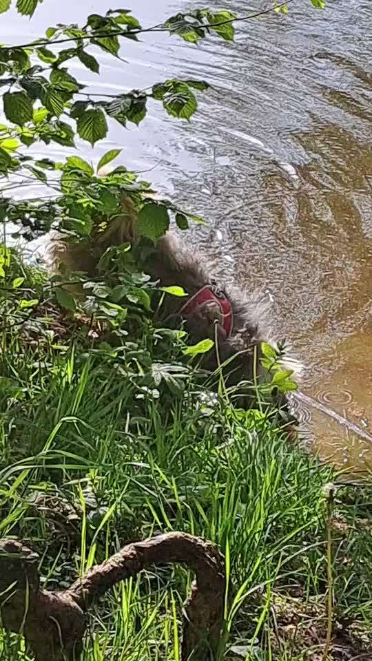 Freddys Kummerkasten-Beitrag-Bild