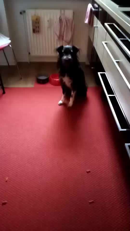 Impulskontrolle Challenge Nr. 21: Minenfeld-Beitrag-Bild