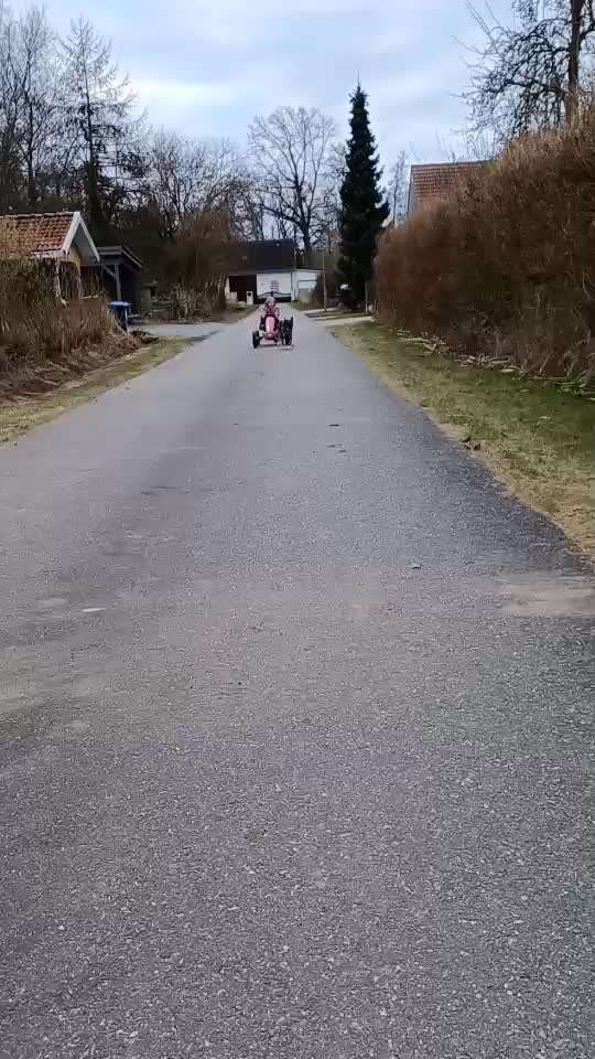 Radfahren mit Hund-Beitrag-Bild