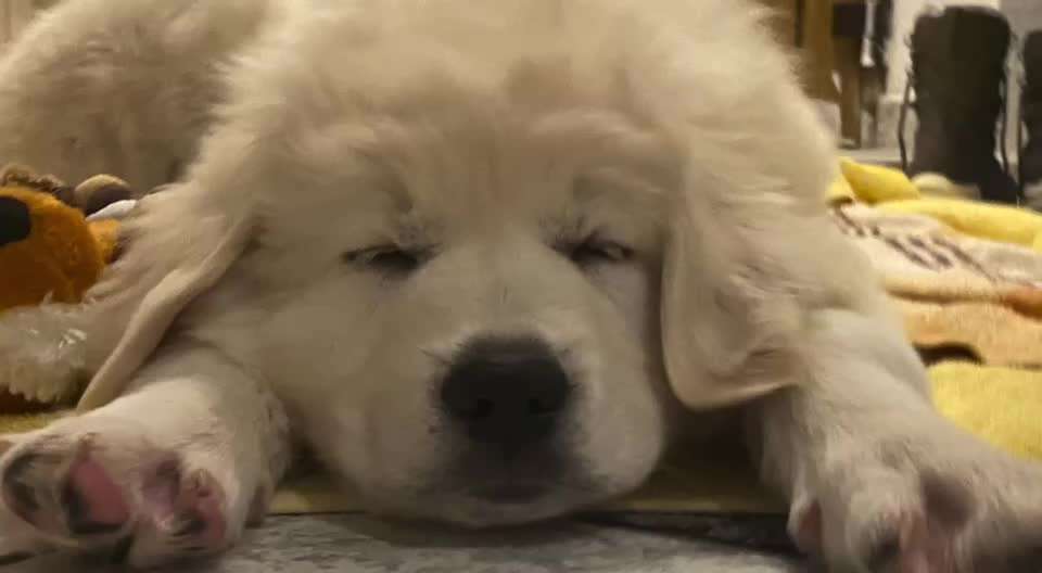 Was hat euch heute gefreut?-Beitrag-Bild