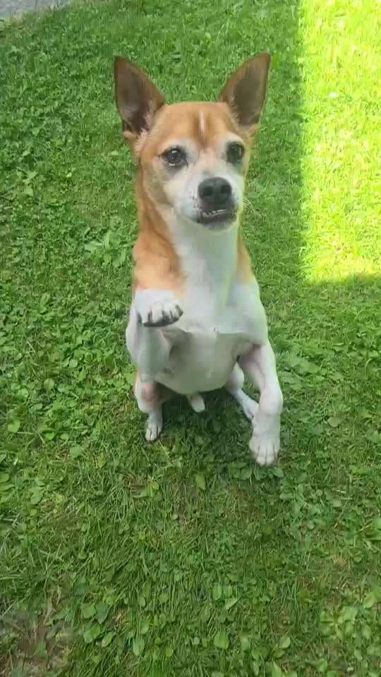 Trick Challenge Nr. 12-Beitrag-Bild