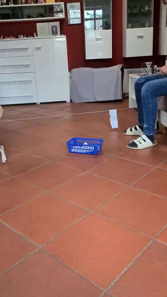 Trickdogging-Beitrag-Bild