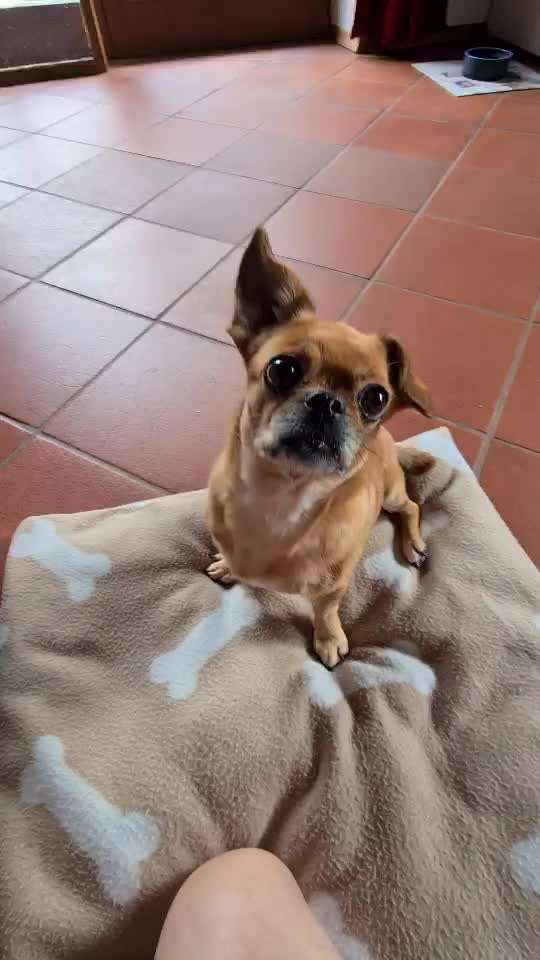 Trick Challenge Nr. 16-Beitrag-Bild