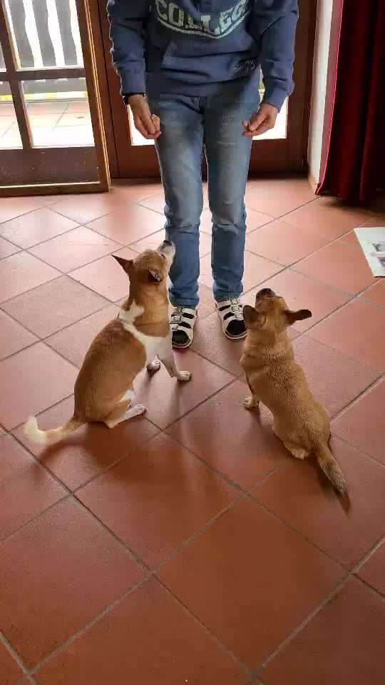 𝕋ℝ𝕀ℂ𝕂 ℂℍ𝔸𝕃𝕃𝔼ℕ𝔾𝔼 ℕℝ. 𝟙-Beitrag-Bild