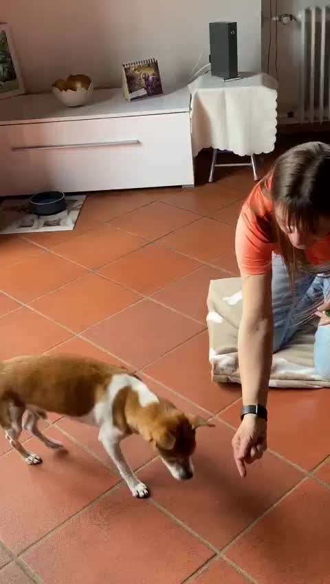 Trick Challenge Nr. 8-Beitrag-Bild