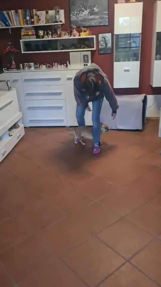 Trick Challenge Nr 6-Beitrag-Bild