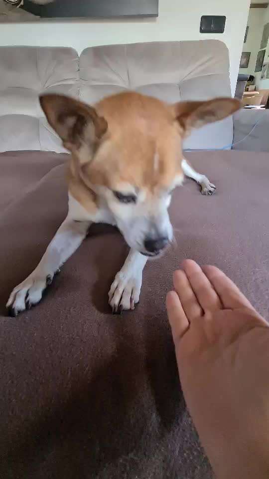 Trick Challenge Nr. 14-Beitrag-Bild