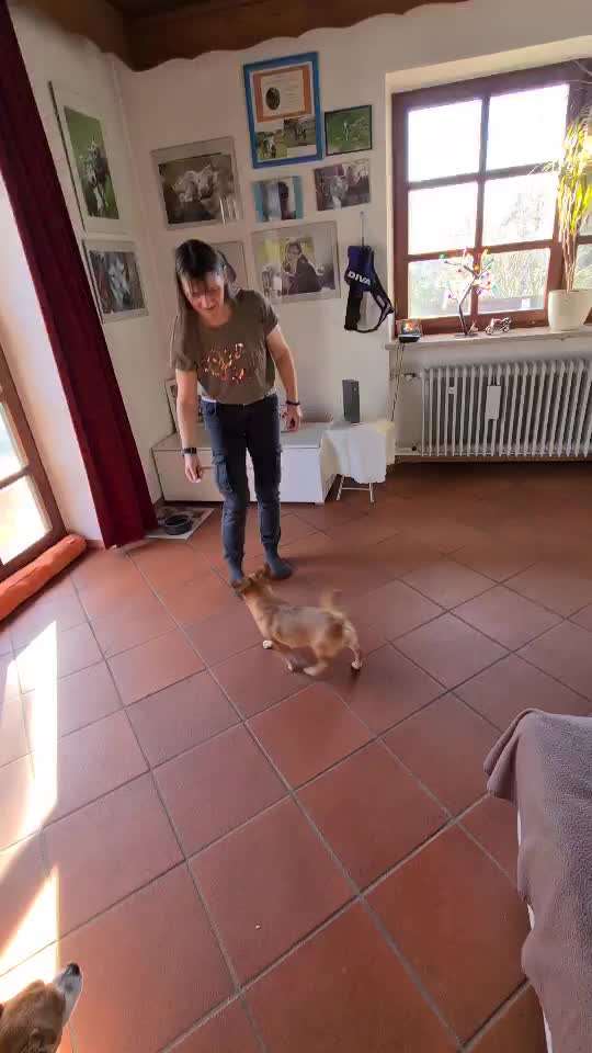 Trick Challenge Nr. 7-Beitrag-Bild