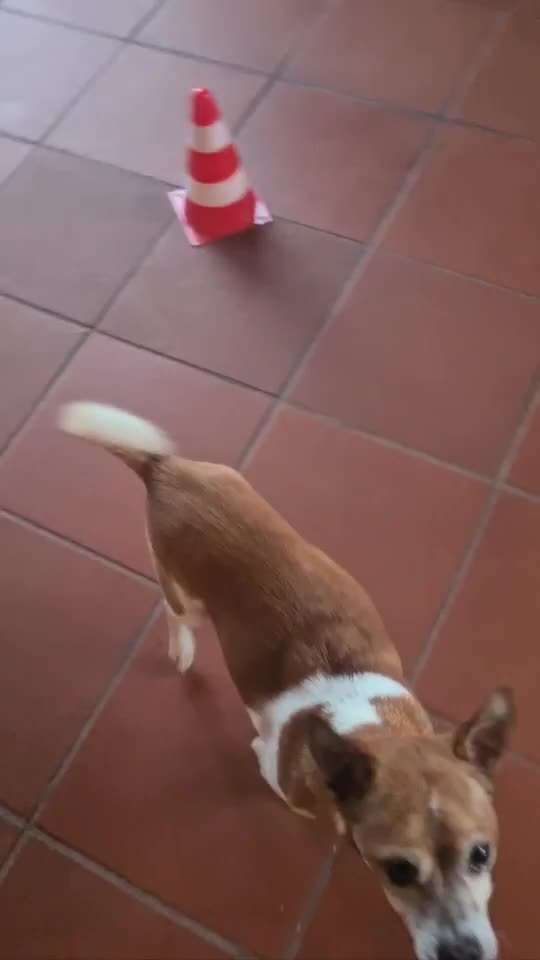 Trick Challenge Nr. 15-Beitrag-Bild