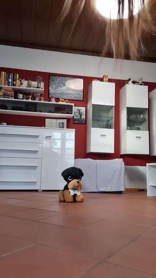 Trick Challenge Nr.5-Beitrag-Bild