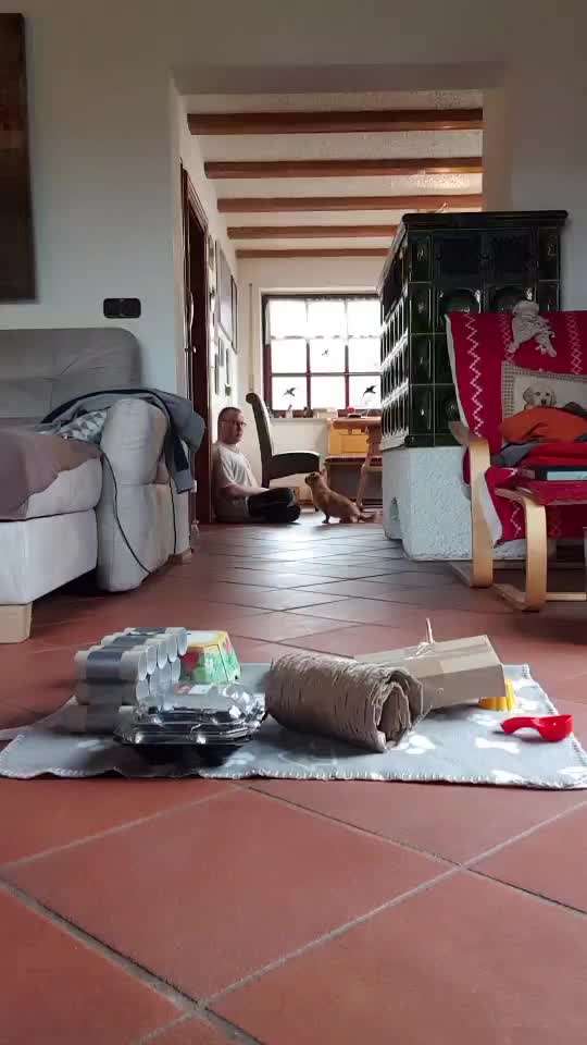 Nasenarbeit / Schnüffelspiele-Beitrag-Bild