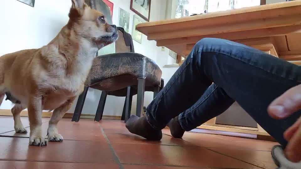 FUN AUFGABEN TOUR-Beitrag-Bild