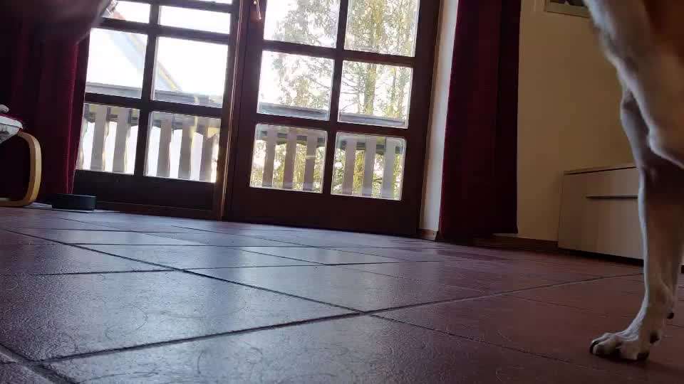 Beschäfitigung in der Wohnung-Beitrag-Bild