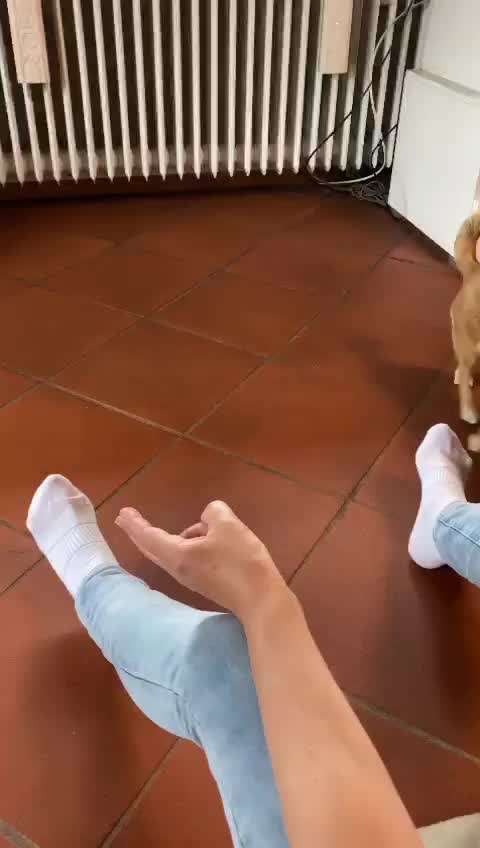 FUN AUFGABEN TOUR-Beitrag-Bild