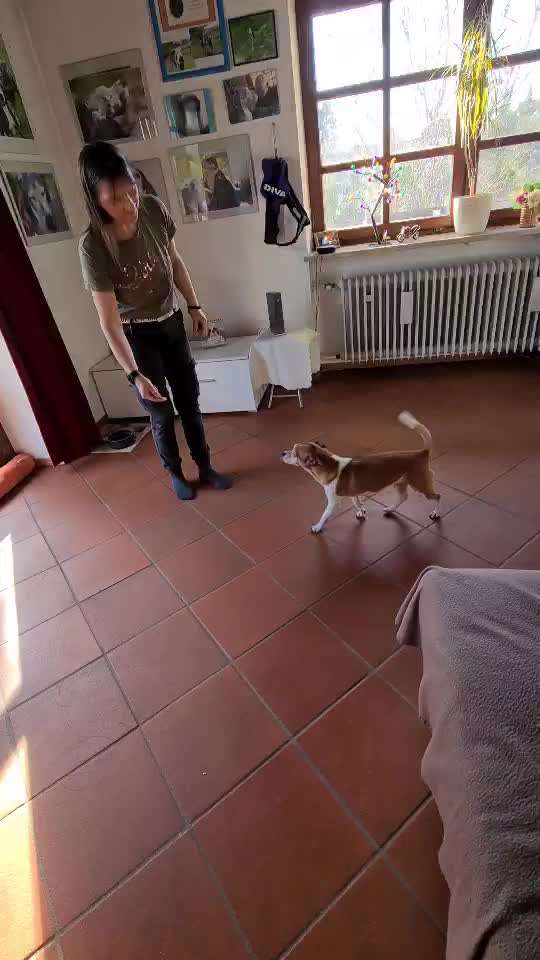 Trick Challenge Nr. 7-Beitrag-Bild