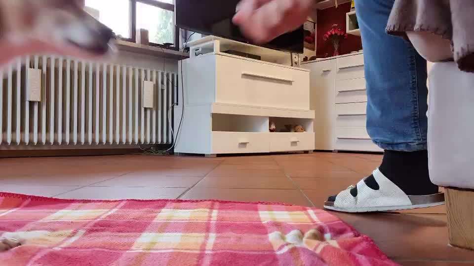 𝕋ℝ𝕀ℂ𝕂 ℂℍ𝔸𝕃𝕃𝔼ℕ𝔾𝔼 ℕℝ. 𝟚-Beitrag-Bild