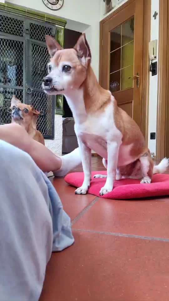 Trick Challenge Nr. 15-Beitrag-Bild