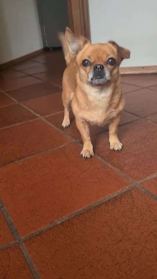 TRICK CHALLENGE NR. 10-Beitrag-Bild