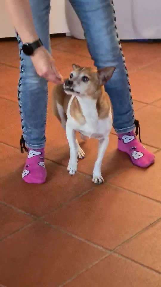 Trick Callange Nr.4-Beitrag-Bild