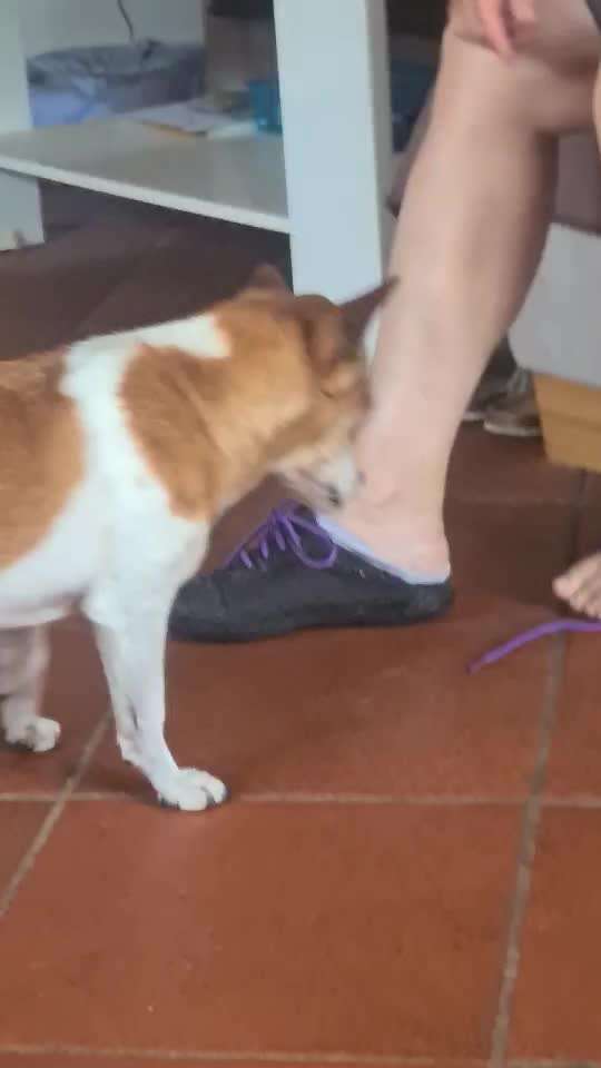 Trick Challenge Nr 27: Socken ausziehen-Beitrag-Bild