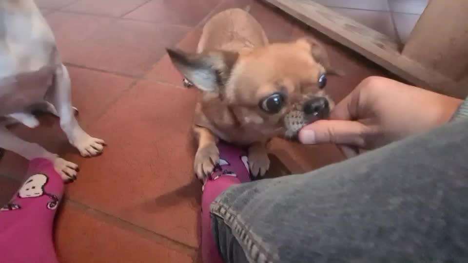 Trick Challange Nr 3-Beitrag-Bild