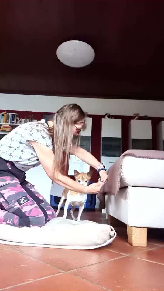 Trick Callenge Nr. 17-Beitrag-Bild